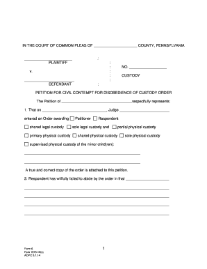 Petition for Civil Contempt for Custody Order