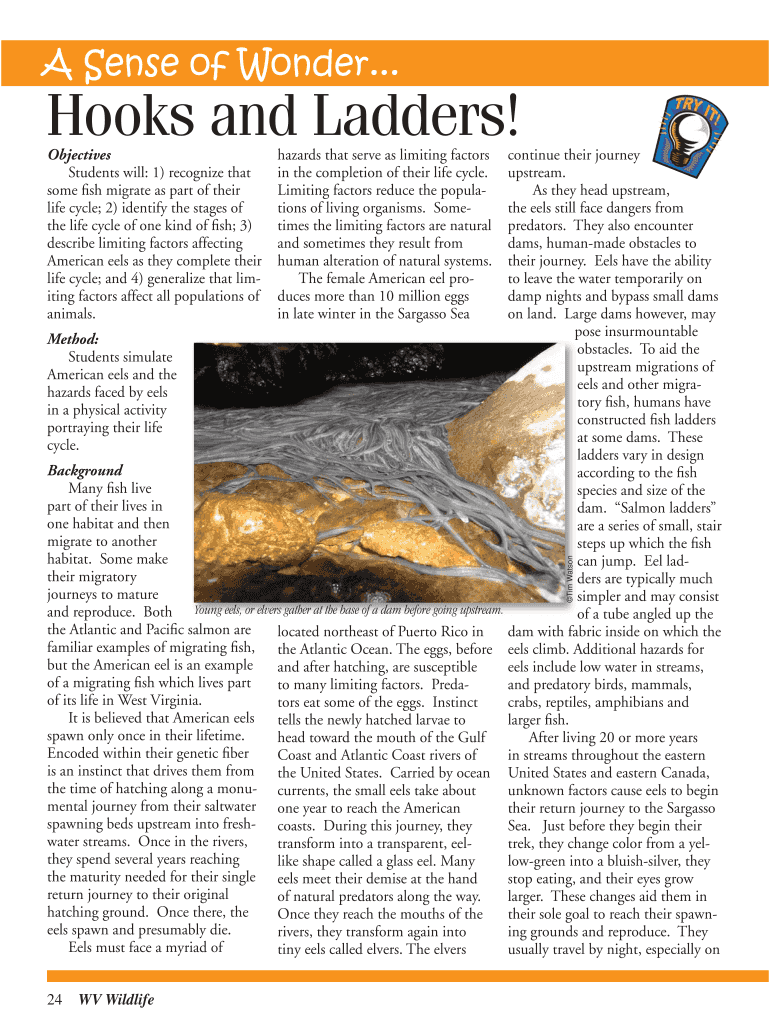 Fillable Online Hooks and Ladders Fax Email Print pdfFiller