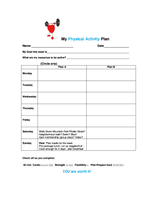 My Physical Activity Plan