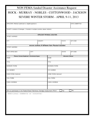 Disaster Assistance Application Form