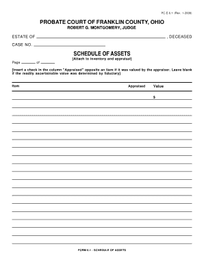 Schedule of Assets Form