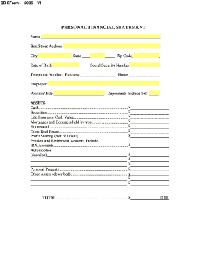 Personal Financial Statement Form