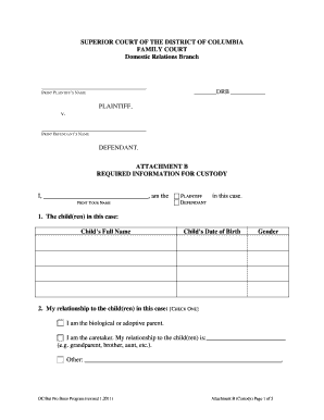 DC Child Custody Form