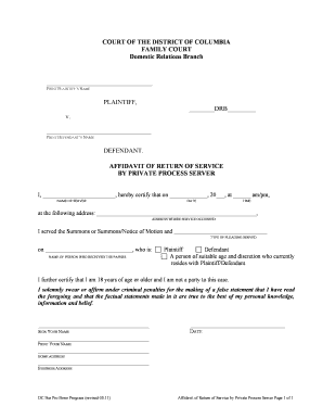 Affidavit of Return of Service by Private Process Server