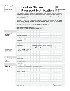 UK Passport Loss or Theft Report Form