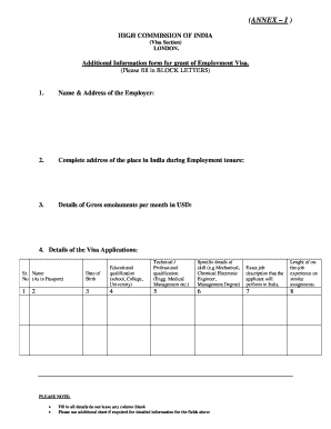 Employment Visa Additional Information Form