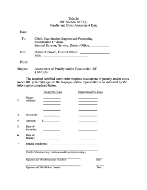 IRC Section 6673(b) Penalty Assessment Form