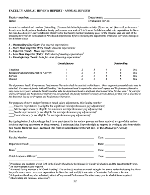 Faculty Annual Review Report