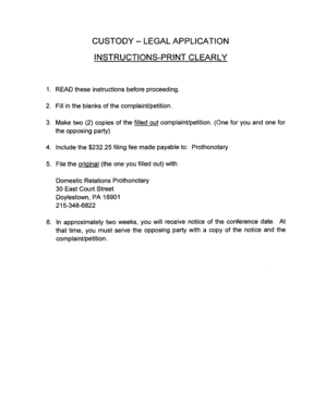 Custody Complaint Petition
