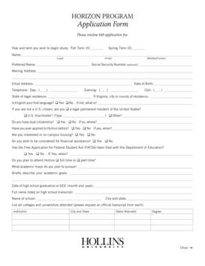 Form preview