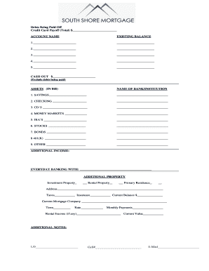 Debt and Asset Statement Form
