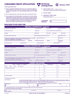 Consumer Credit Application
