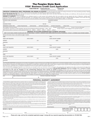 VISA Business Credit Card Application