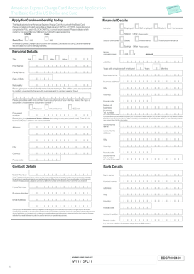 American Express Basic Card Application