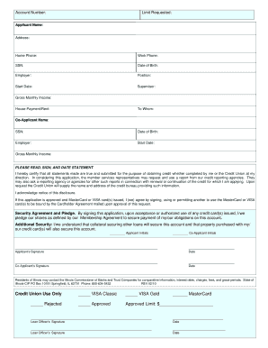 Credit Card Application Form