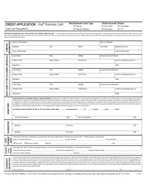 Visa Business Card Credit Application