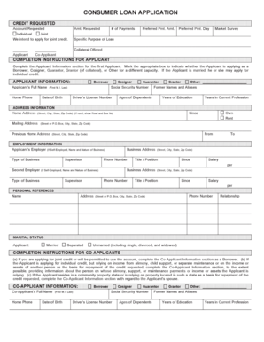 Consumer Loan Application Form
