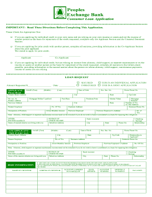 Consumer Loan Application