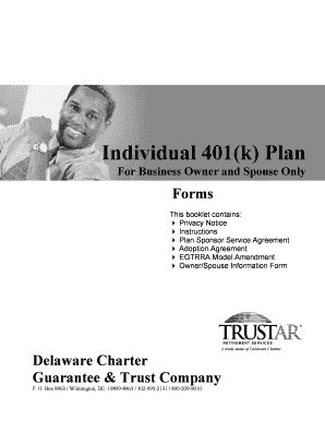 Individual 401(k) Plan Adoption Agreement