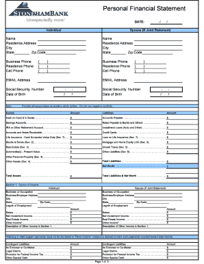 Personal Financial Statement Form
