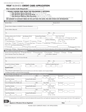 Visa Business Credit Card Application
