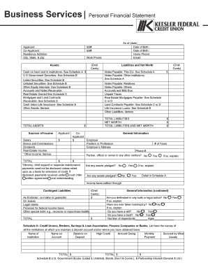 Personal Financial Statement Form