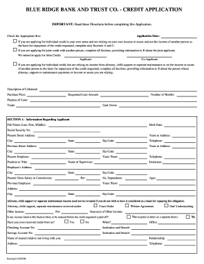Consumer Loan Application