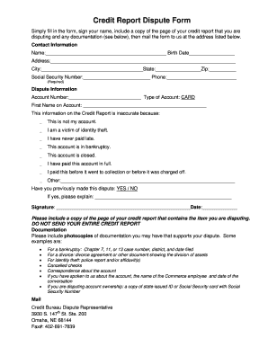 Credit Report Dispute Form