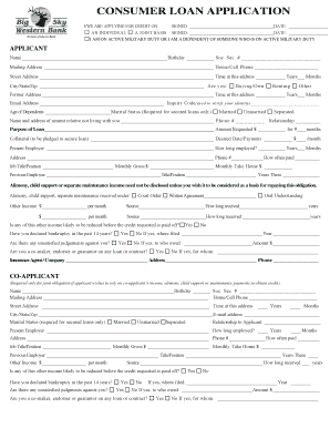 Consumer Loan Application Form