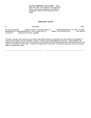 Straight Promissory Note