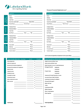 Personal Financial Statement Form