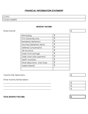 Financial Information Statement