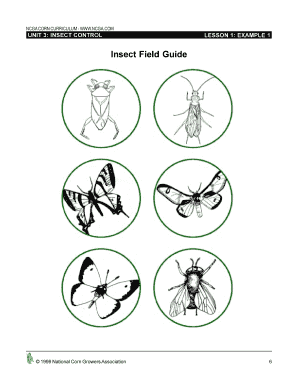 Insect Monitoring Worksheet