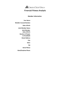 Financial Fitness Analysis Form