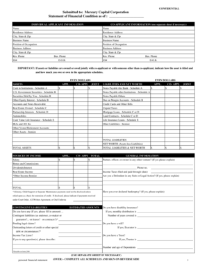 Individual Financial Statement