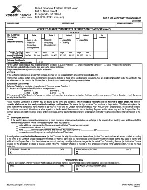 Borrower Security Contract