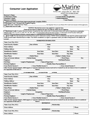 Consumer Loan Application Form