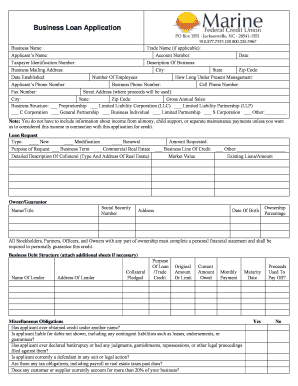 Business Loan Application Form