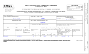 Form 4 Statement of Changes in Beneficial Ownership