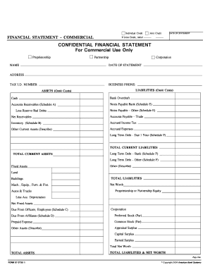 Commercial Financial Statement Form
