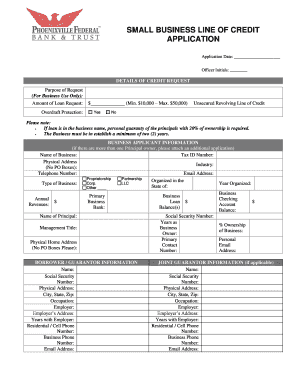 Small Business Line of Credit Application
