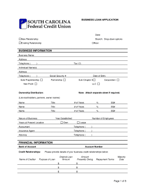 Business Loan Application Form