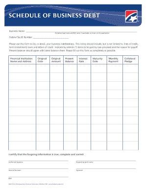 Schedule of Business Debt