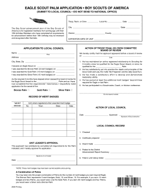 Eagle Scout Palm Application