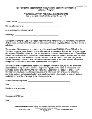 Youth Volunteer Parental Consent Form