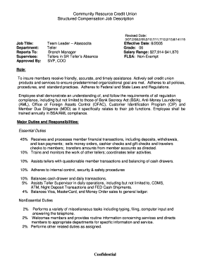 Team Leader Job Description