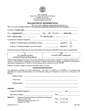 Tennessee Declaration of Representative