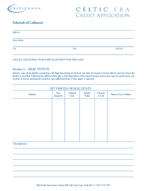 Credit Application Schedule of Collateral