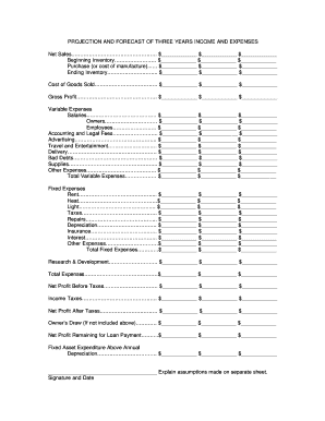 Three Year Income and Expenses Projection Form
