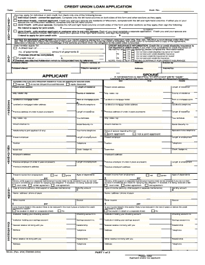 Credit Union Loan Application
